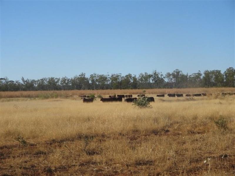 Talwood QLD 4496