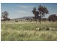 Injune QLD 4454