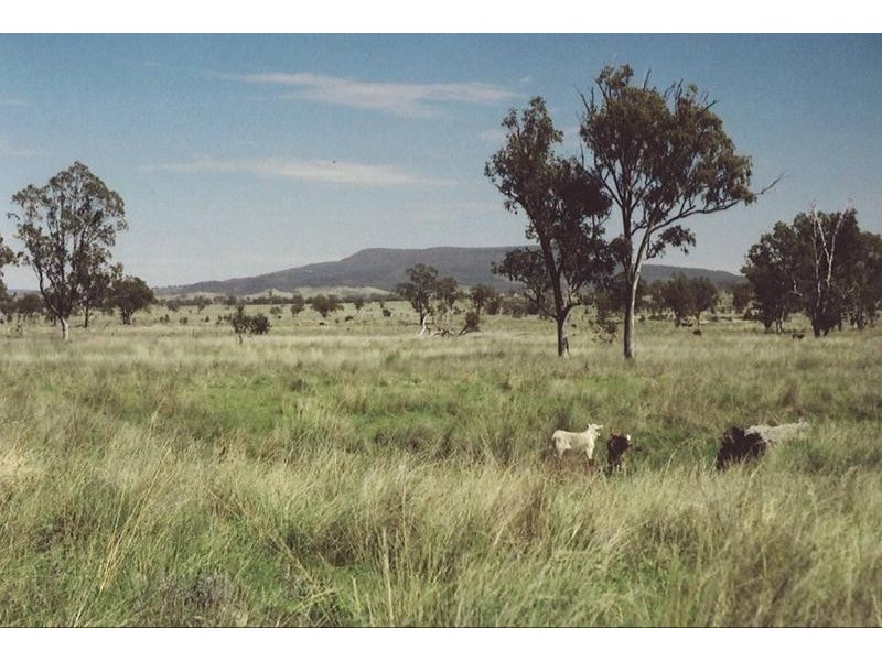 Injune QLD 4454