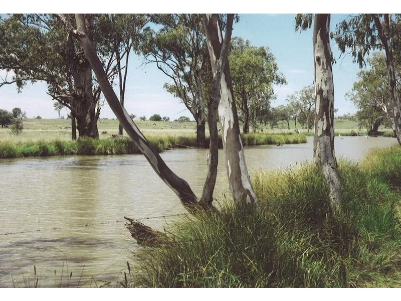 Injune QLD 4454