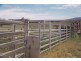 Injune QLD 4454