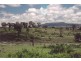 Injune QLD 4454