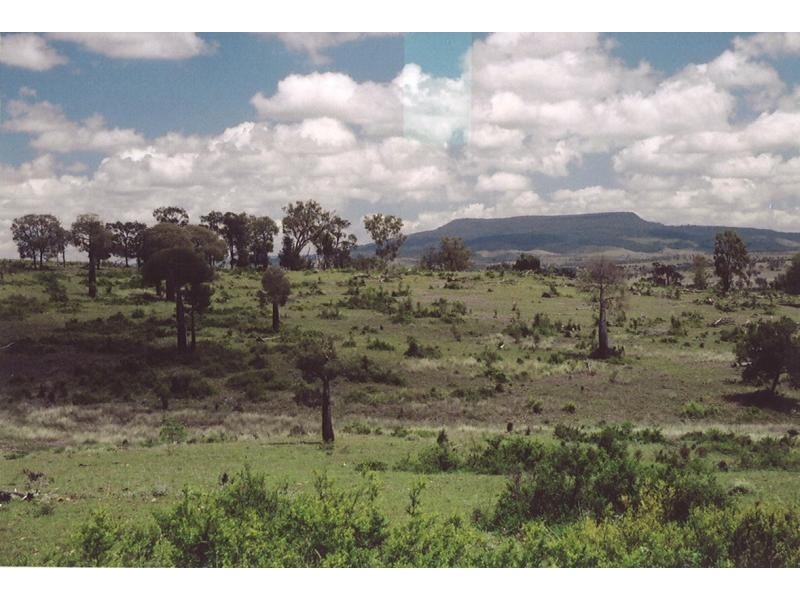Injune QLD 4454
