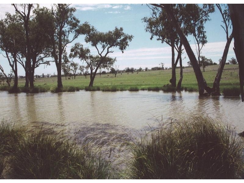 Injune QLD 4454