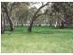 Injune QLD 4454