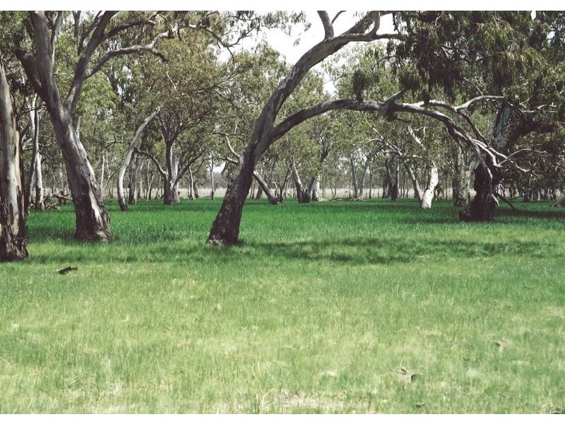 Injune QLD 4454