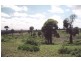 Injune QLD 4454