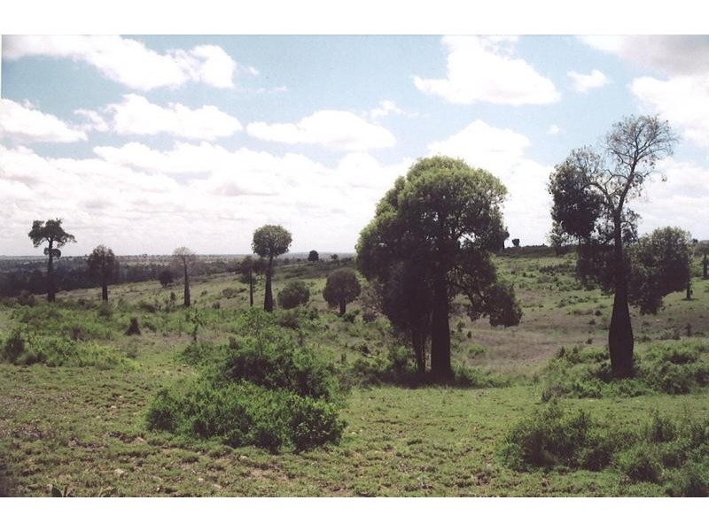 Injune QLD 4454