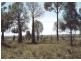 Injune QLD 4454