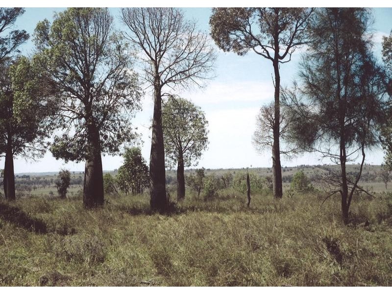 Injune QLD 4454