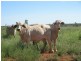 Talwood QLD 4496