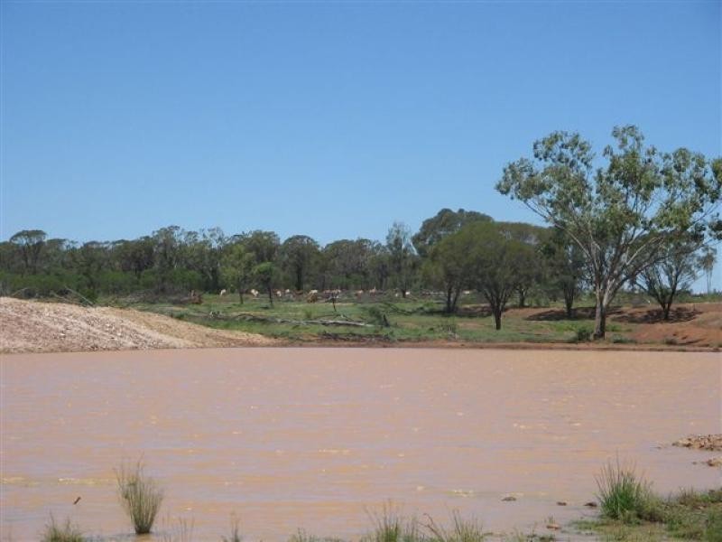 Talwood QLD 4496