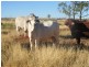 Talwood QLD 4496