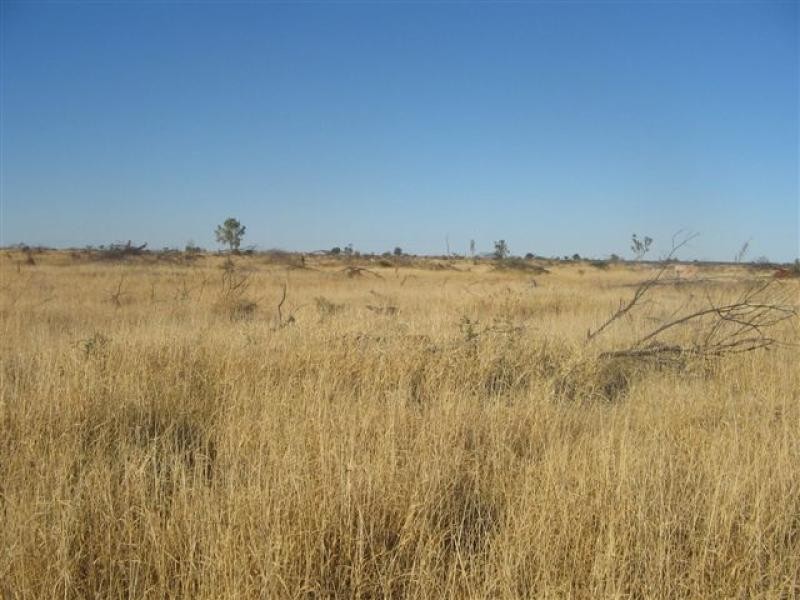 Talwood QLD 4496