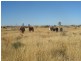 Talwood QLD 4496
