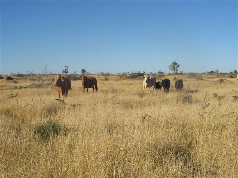 Talwood QLD 4496