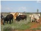Talwood QLD 4496