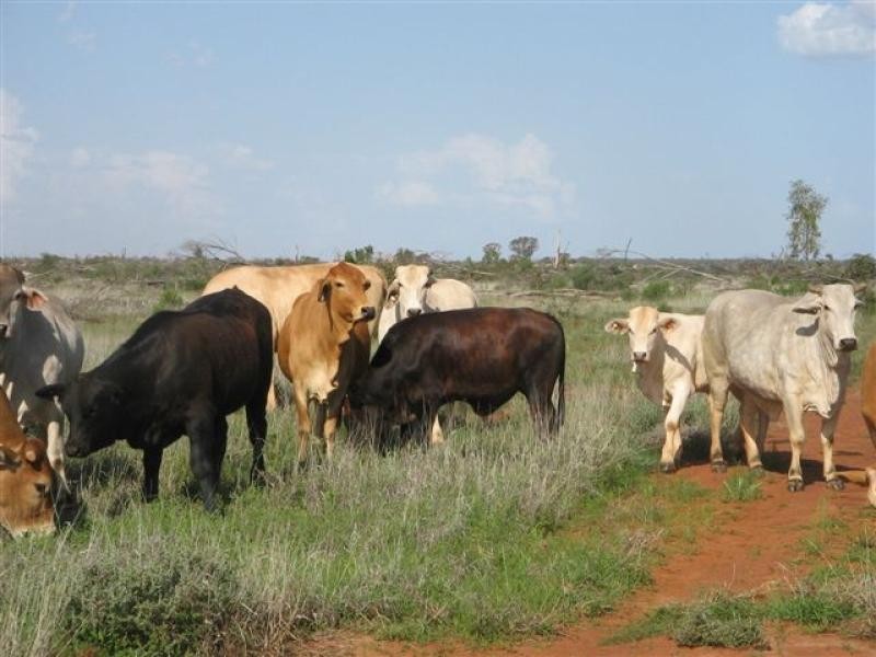 Talwood QLD 4496