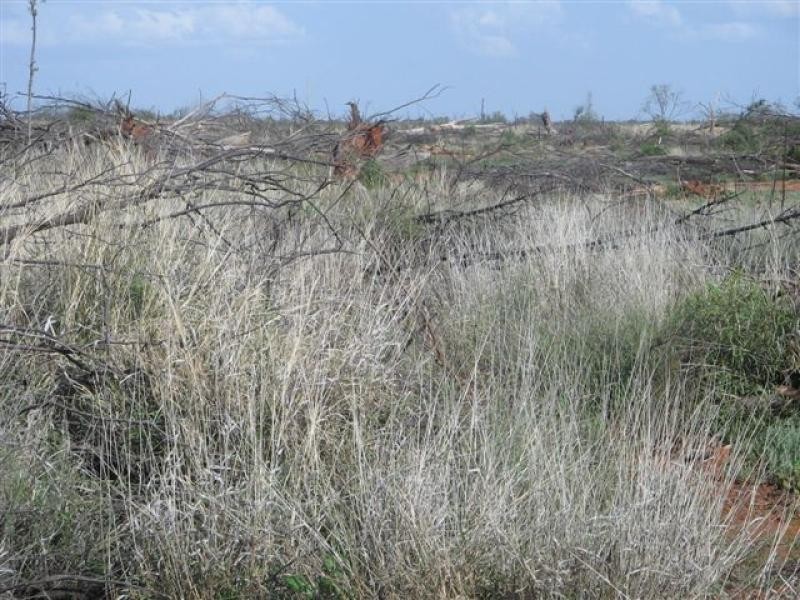 Talwood QLD 4496