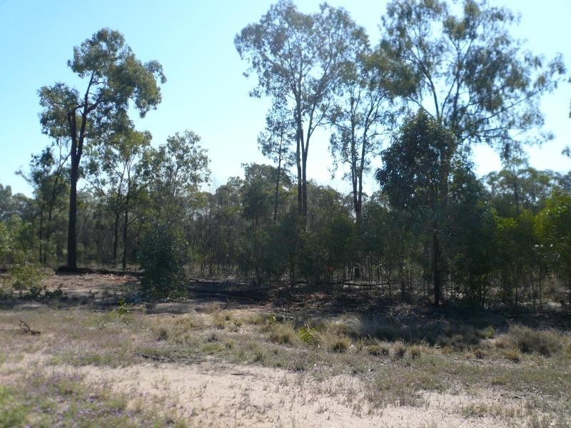 Lot 65/ RIDGE ROAD, Tara QLD 4421