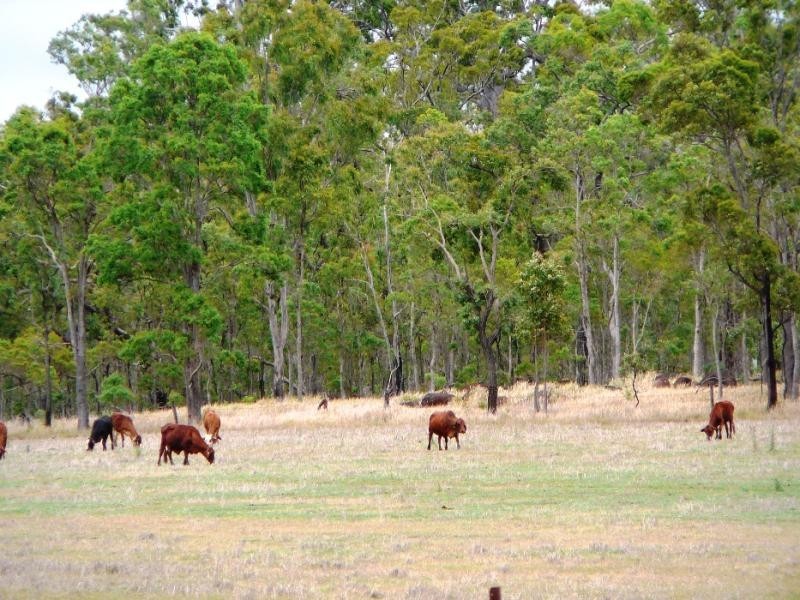 Kaban QLD 4888