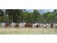Namoi Hills, Lot 1, Namoi Road, Dingo QLD 4702