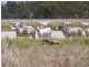 Namoi Hills, Lot 1, Namoi Road, Dingo QLD 4702