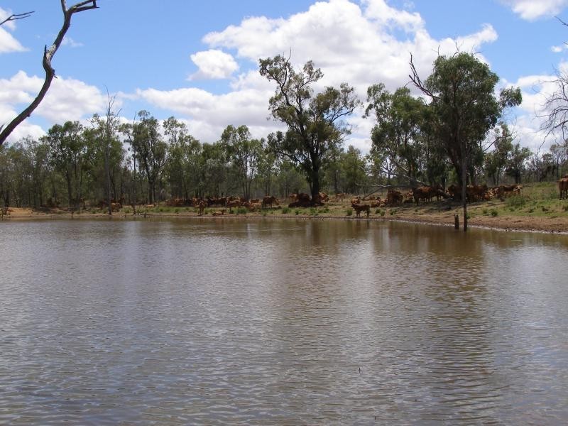 Namoi Hills, Lot 1, Namoi Road, Dingo QLD 4702
