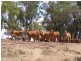 Namoi Hills, Lot 1, Namoi Road, Dingo QLD 4702
