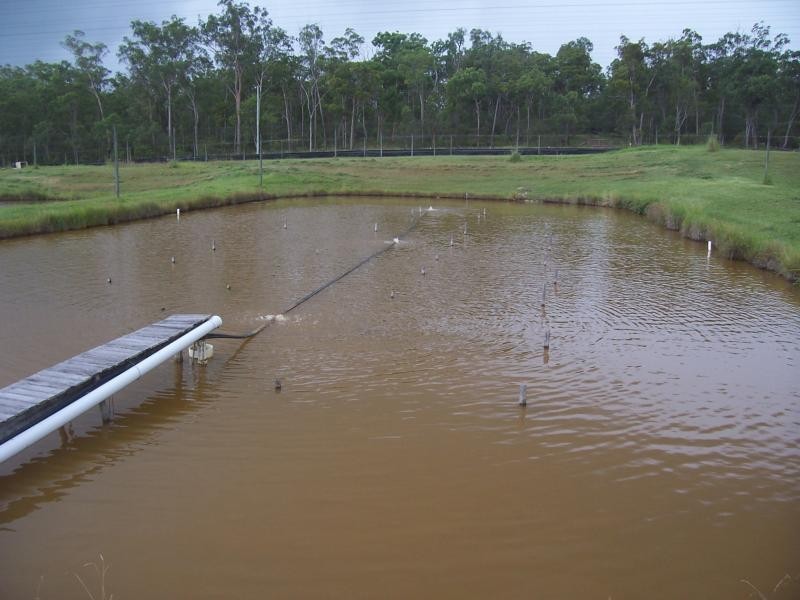 269 Boughton Road, Bucca QLD 4670