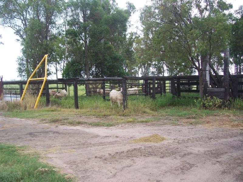 269 Boughton Road, Bucca QLD 4670