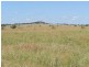 Muttaburra QLD 4732