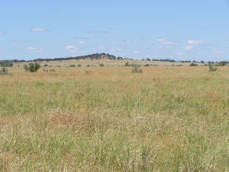 Muttaburra QLD 4732