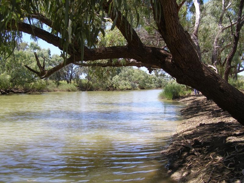 Muttaburra QLD 4732