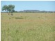 Muttaburra QLD 4732