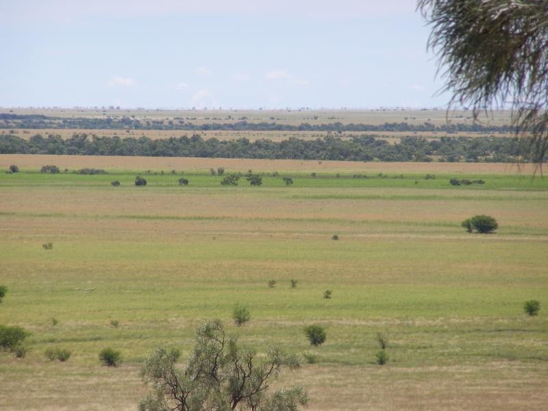 Muttaburra QLD 4732