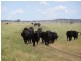 Muttaburra QLD 4732