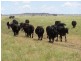 Muttaburra QLD 4732