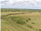Muttaburra QLD 4732
