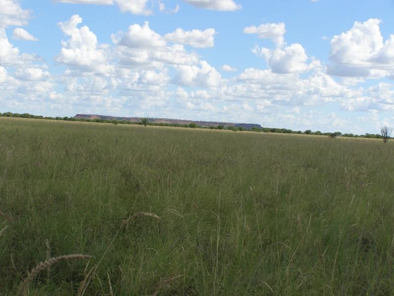 Muttaburra QLD 4732