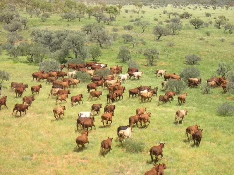 Boulia QLD 4829