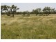Boulia QLD 4829