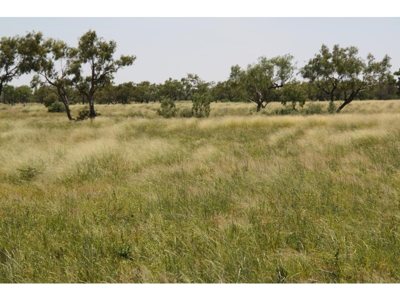 Boulia QLD 4829