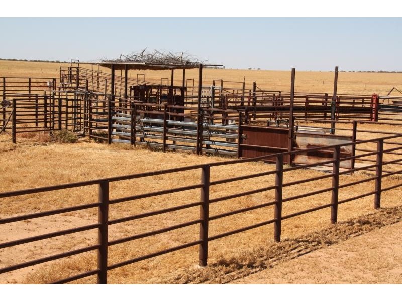 Boulia QLD 4829