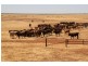 Boulia QLD 4829