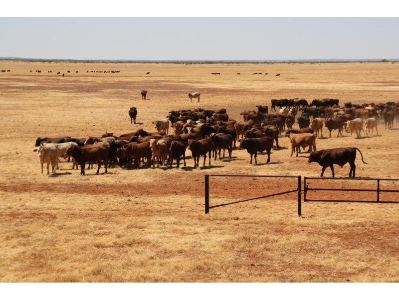 Boulia QLD 4829