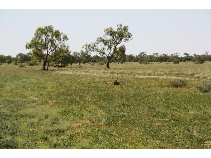Boulia QLD 4829