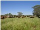 Boulia QLD 4829