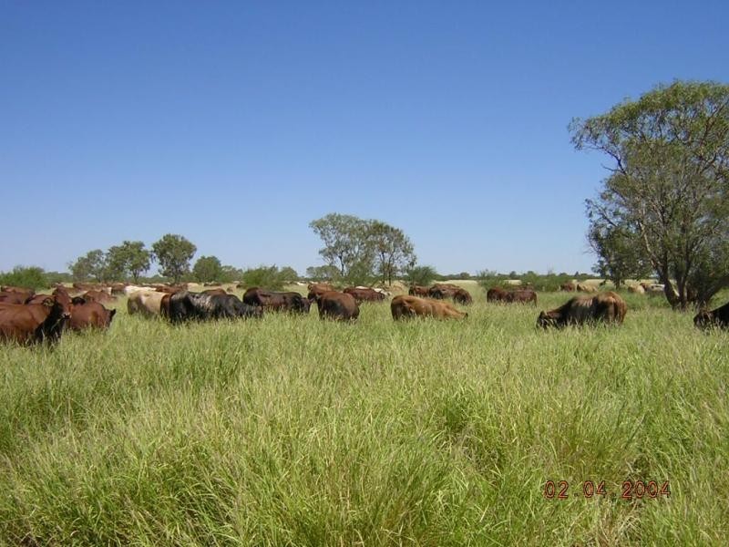 Boulia QLD 4829