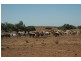 Bedourie QLD 4829